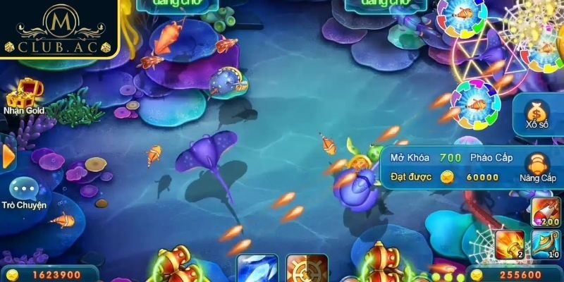 Thử nghiệm trước khi sử dụng