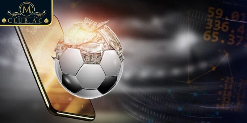 Thuật ngữ cần nắm trong HT/FT