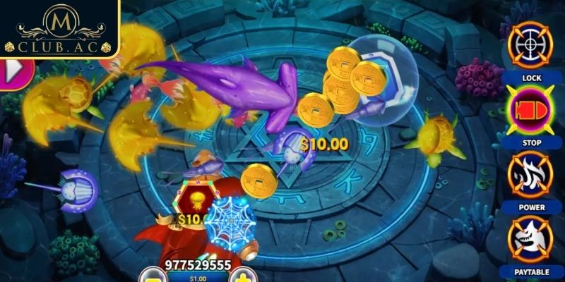 Nhắm bắn chính xác tối ưu cơ hội chiến thắng