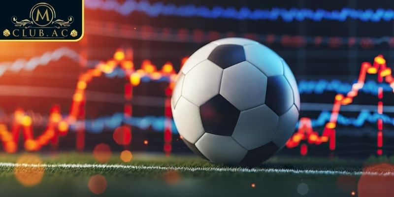 Lợi ích khi tham gia cược